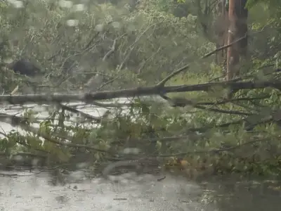 Tornado confirmed in Mass. town as powerful storm sweeps over region