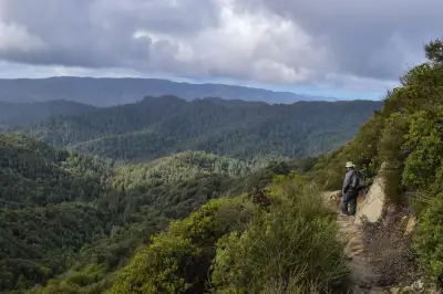 5 Bay Area summer hikes to catch cool breezes and breathtaking scenery