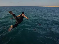 The Mediterranean Sea is experiencing a record-smashing heat wave