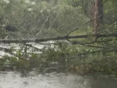 Tornado confirmed in Mass. town as powerful storm sweeps over region