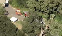 Child dies at summer camp in Calabasas after tree falls; 4 others injured