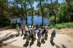 Midpen set to improve access to Bear Creek Redwoods in Los Gatos