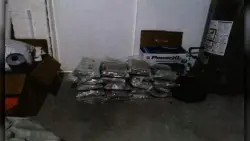 7 Chinese nationals facing federal charges in massive illegal marijuana grow operation in New Englad