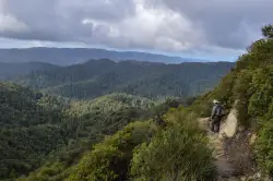 5 Bay Area summer hikes to catch cool breezes and breathtaking scenery