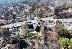 As California delays ‘zone zero’ wildfire protection rules, study finds clearing vegetation prevented home damage in LA fires