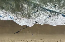 Go to the beach, just don't get wet. Bacteria warnings issued ahead of July 4th at 8 beaches